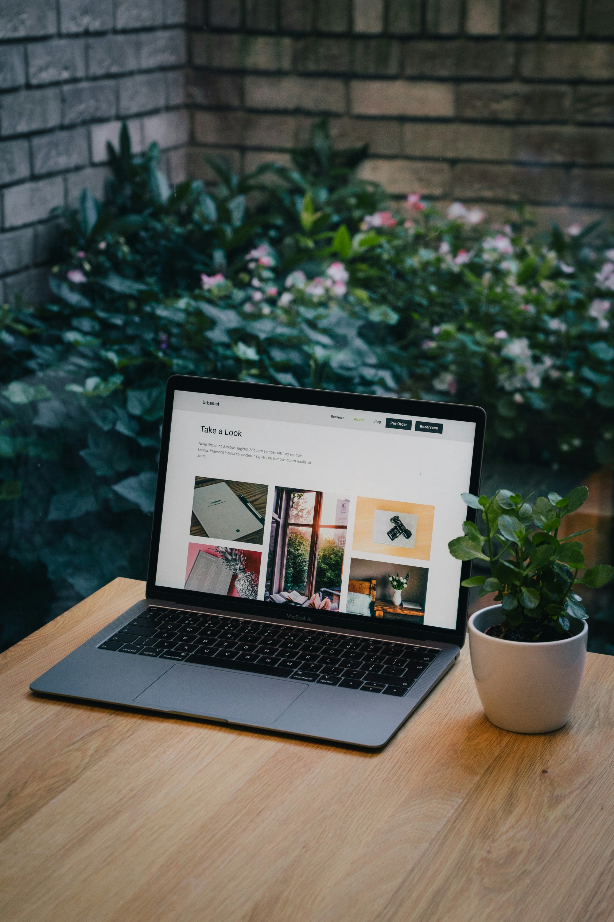 Website development